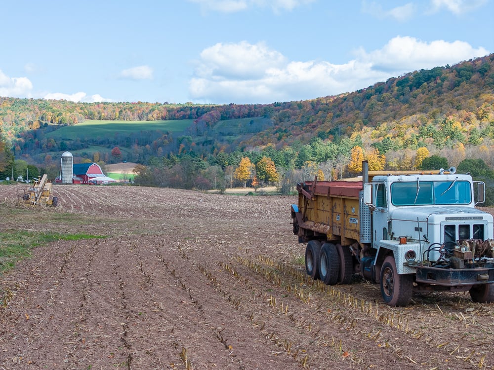 DJI_20241005130931_0259_D-Enhanced-NR