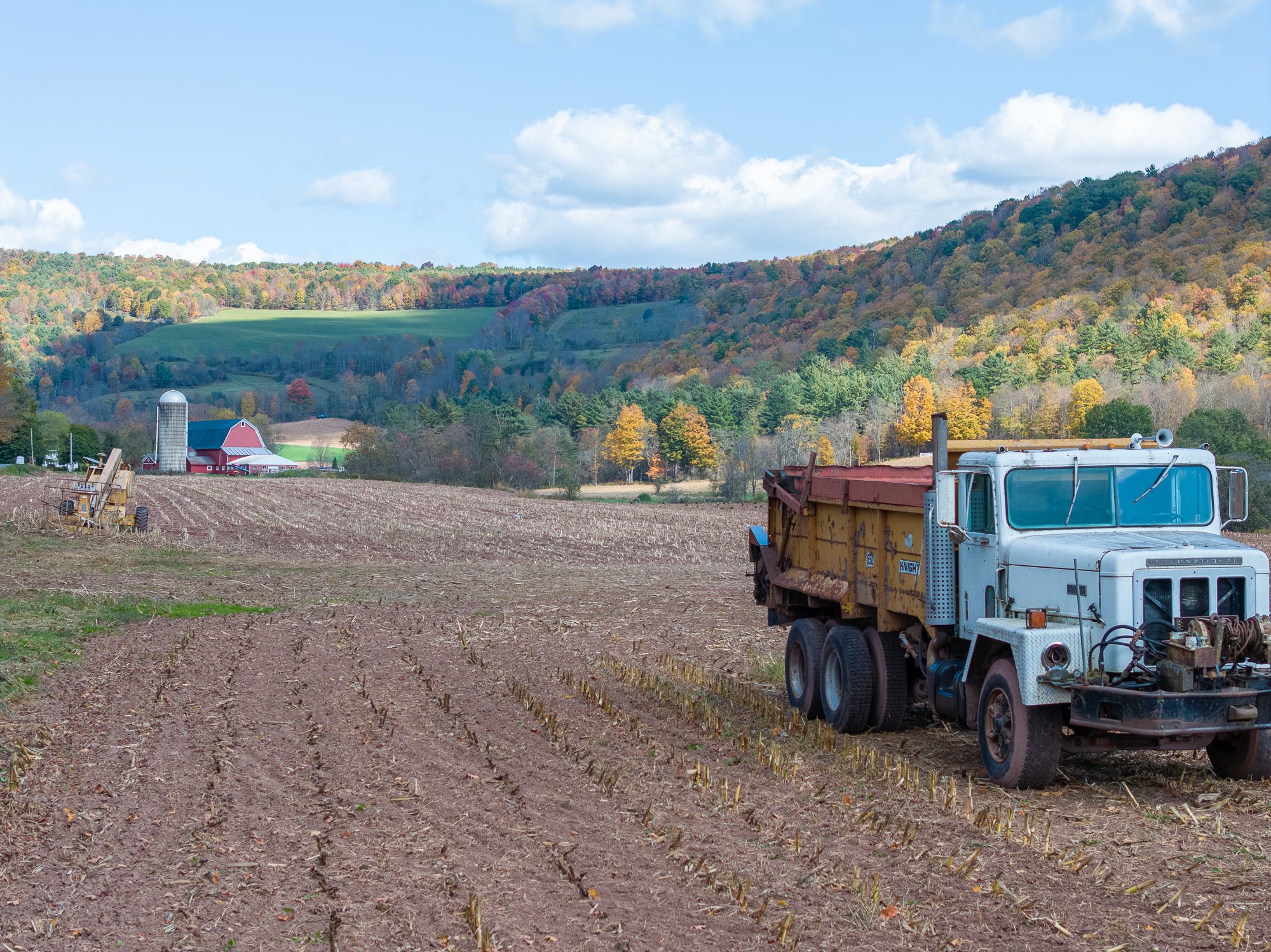 DJI_20241005130931_0259_D-Enhanced-NR