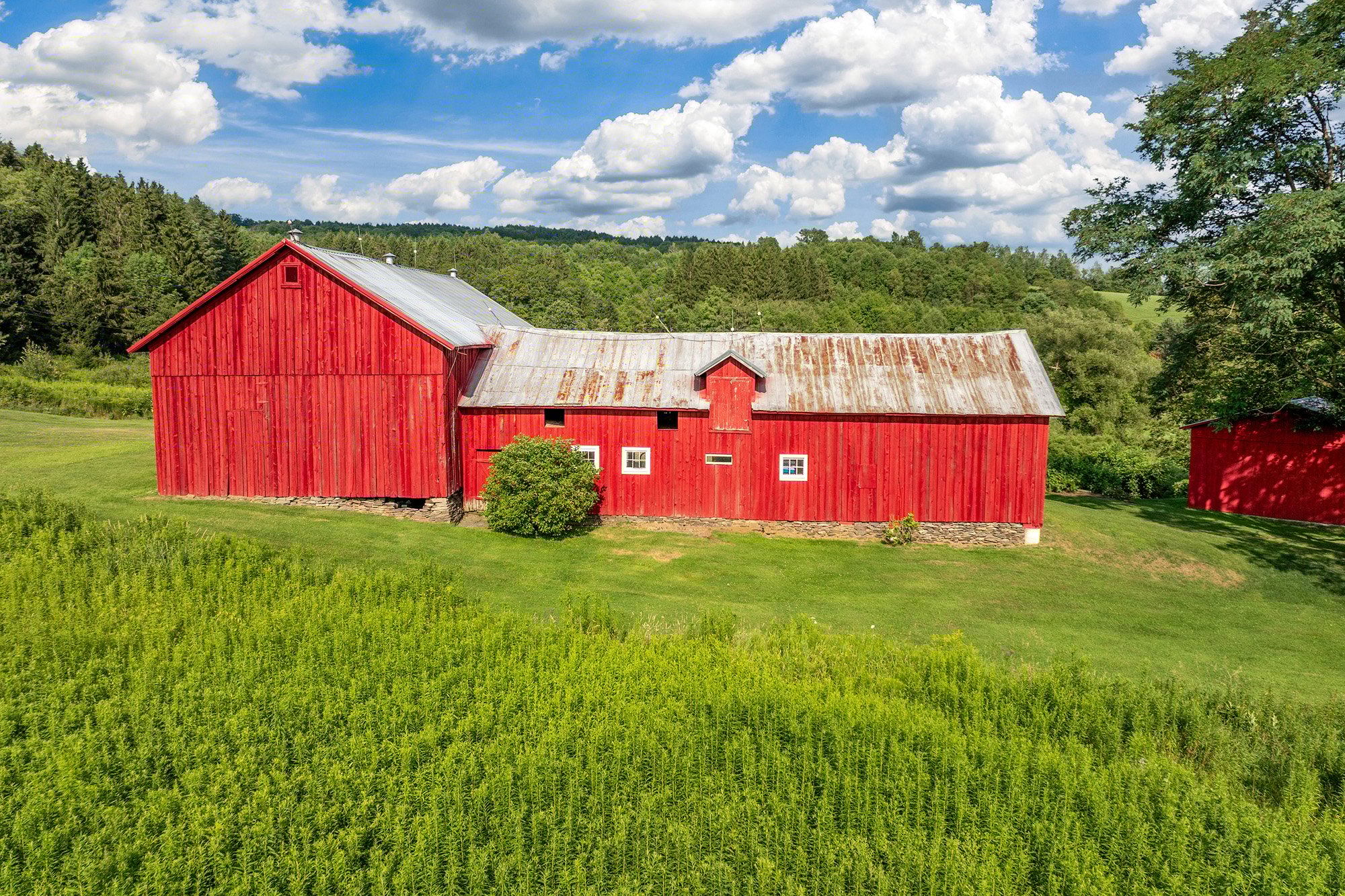 55-DJI_20250728170447_0479_D-Edit-Edit
