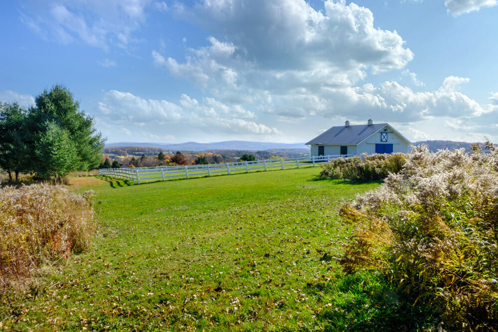 4-Horse Barn & 2 Paddocks