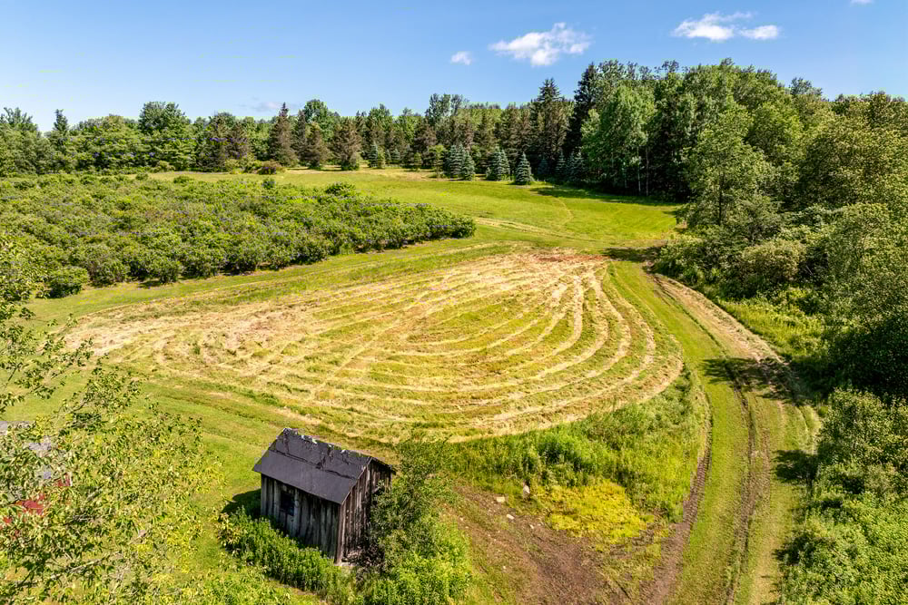 DJI_20250704103521_0112_D-Edit