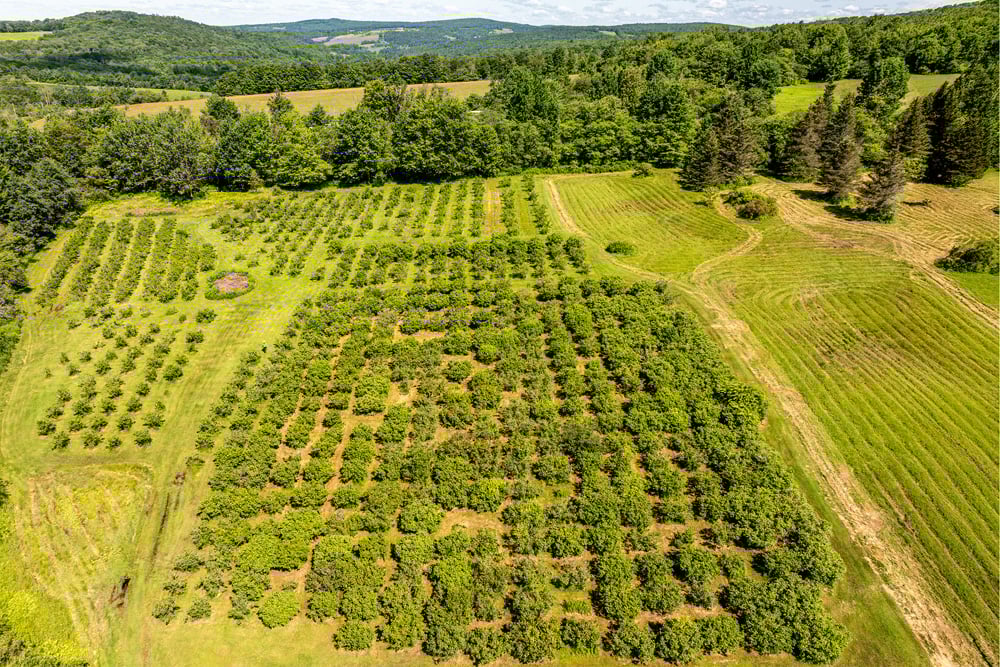 DJI_20250704103941_0123_D-Edit