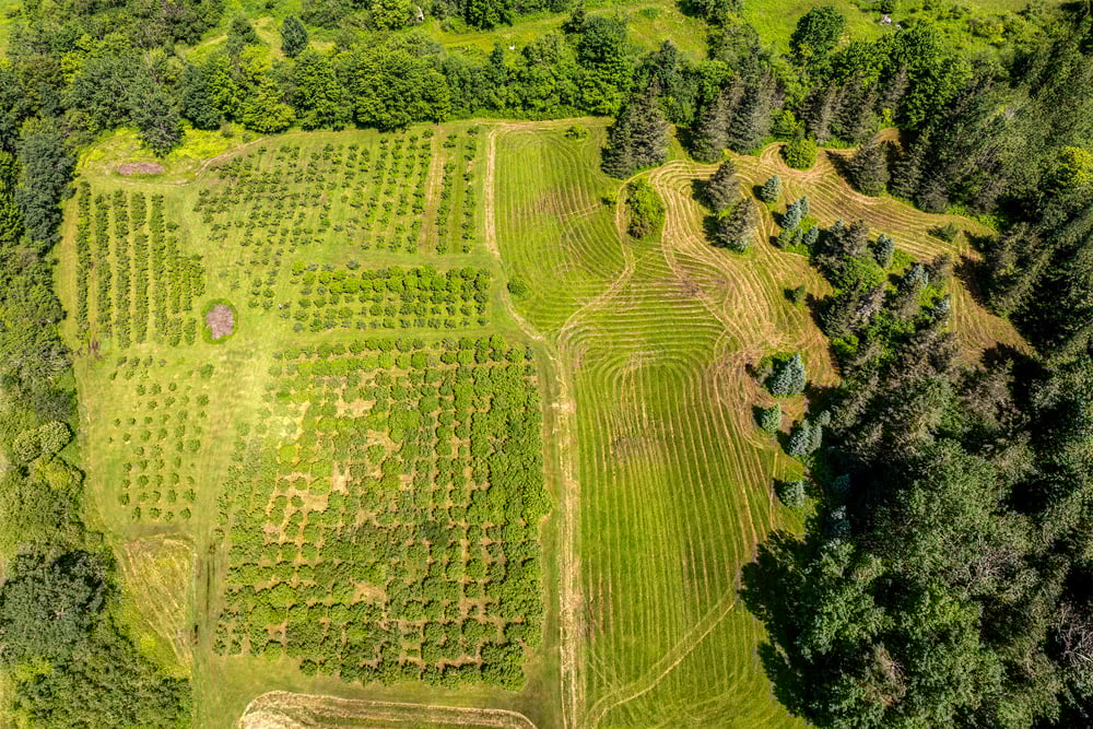 DJI_20250704104016_0125_D-Edit