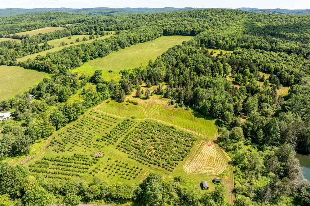 DJI_20250704104144_0128_D-Edit