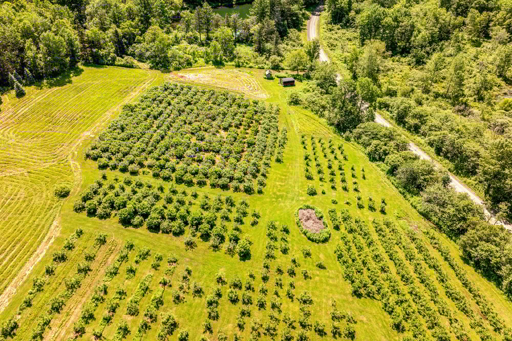 DJI_20250704104748_0135_D-Edit