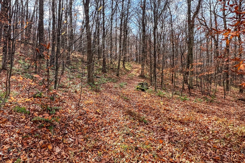 464 Curtis Lane Trails on 6 Acres