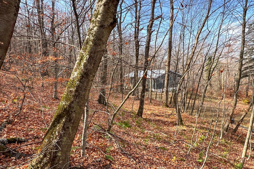 464 Curtis Lane Trails on 6 Acres