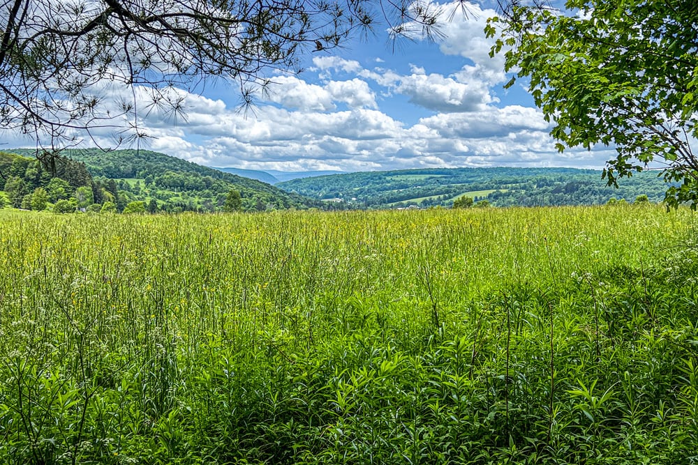 067 Ayre View of Ouleout Valley