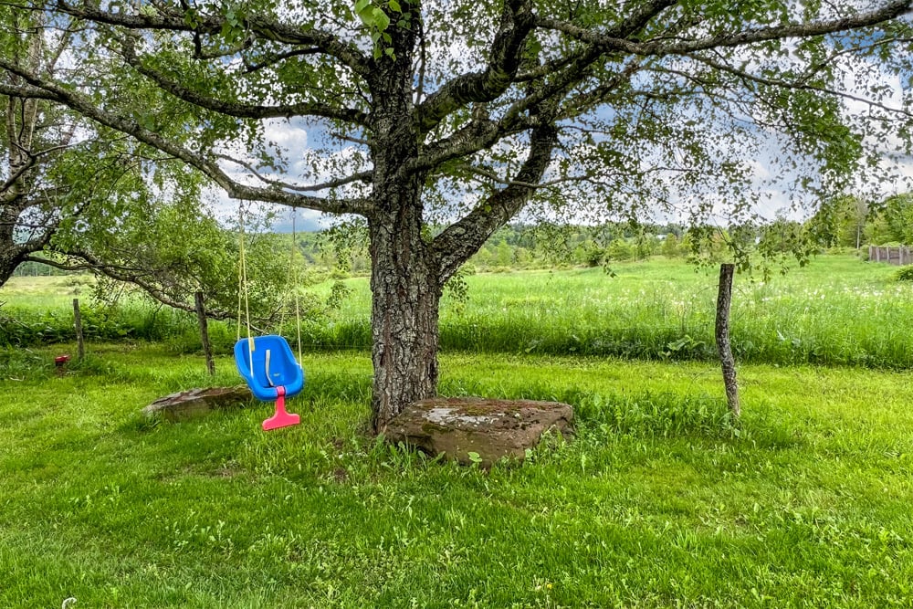 Charming backyard - 532 Wilbur Hill Rd