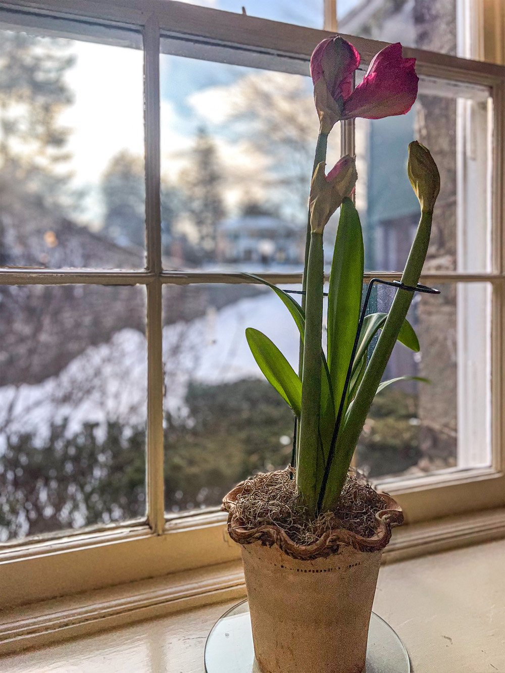 87 Laundry Space in Basement (w new furnace) - 6 Westridge Rd Cooperstown