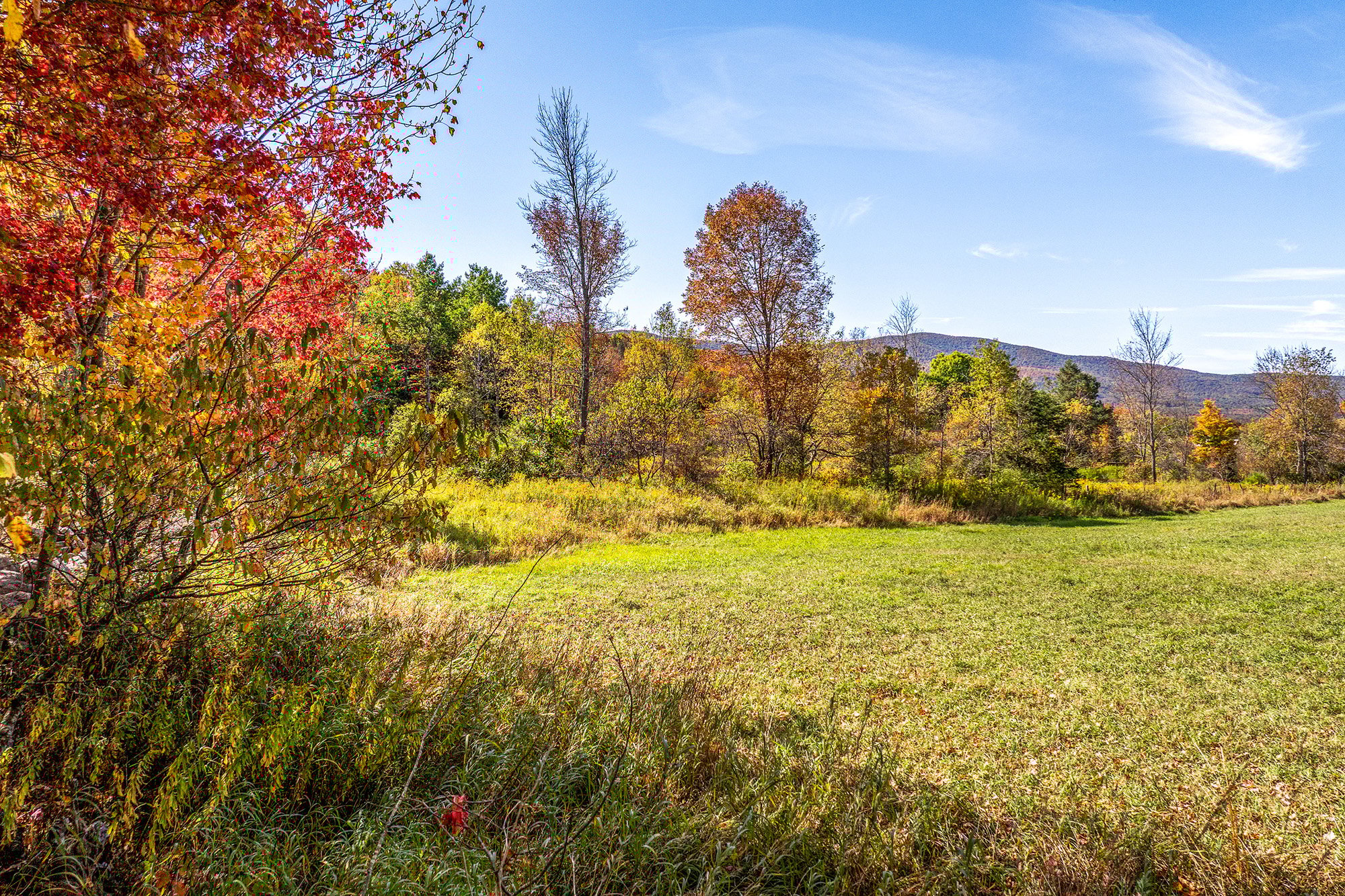 050 -- 936 Potter Mnt Rd