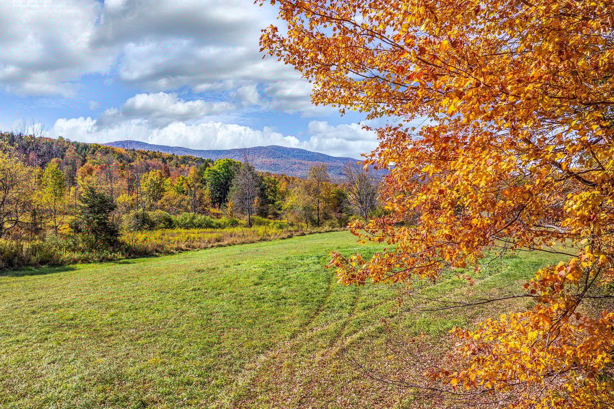 051 -- 936 Potter Mnt Rd