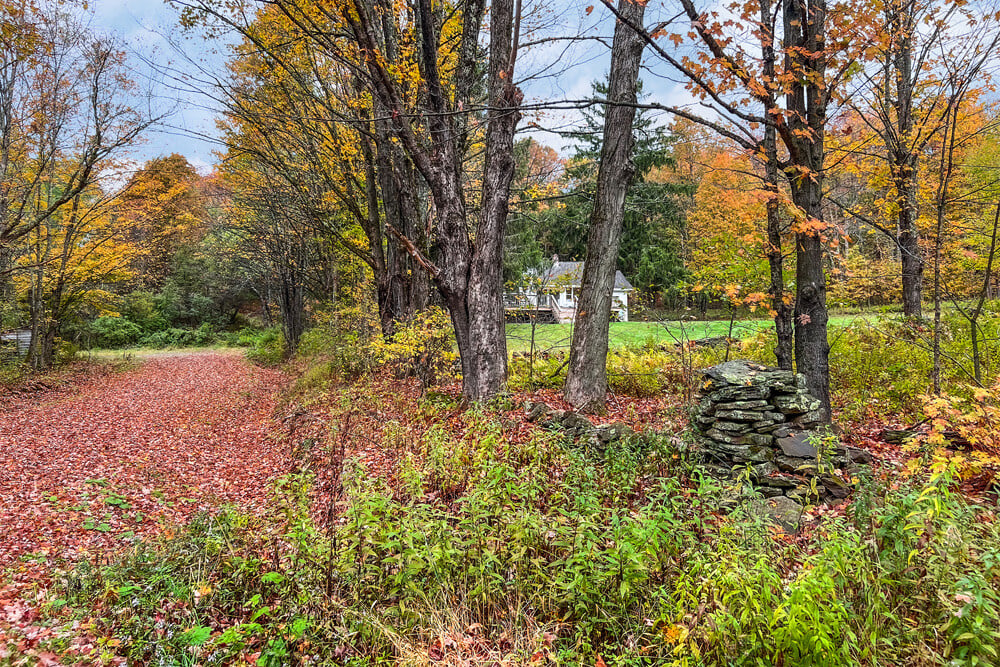 Trails Past Lower House