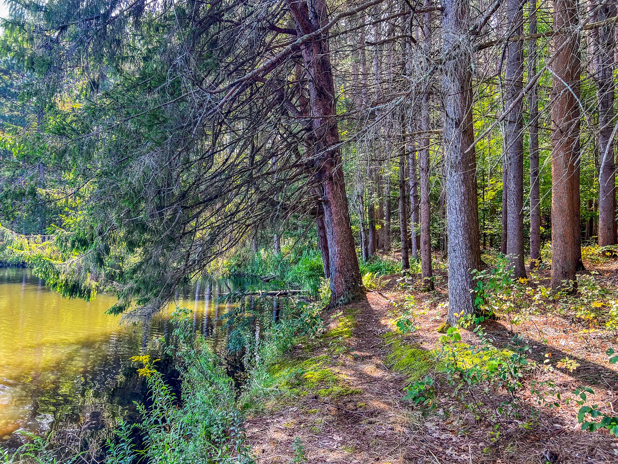 IMG_9529-Edit