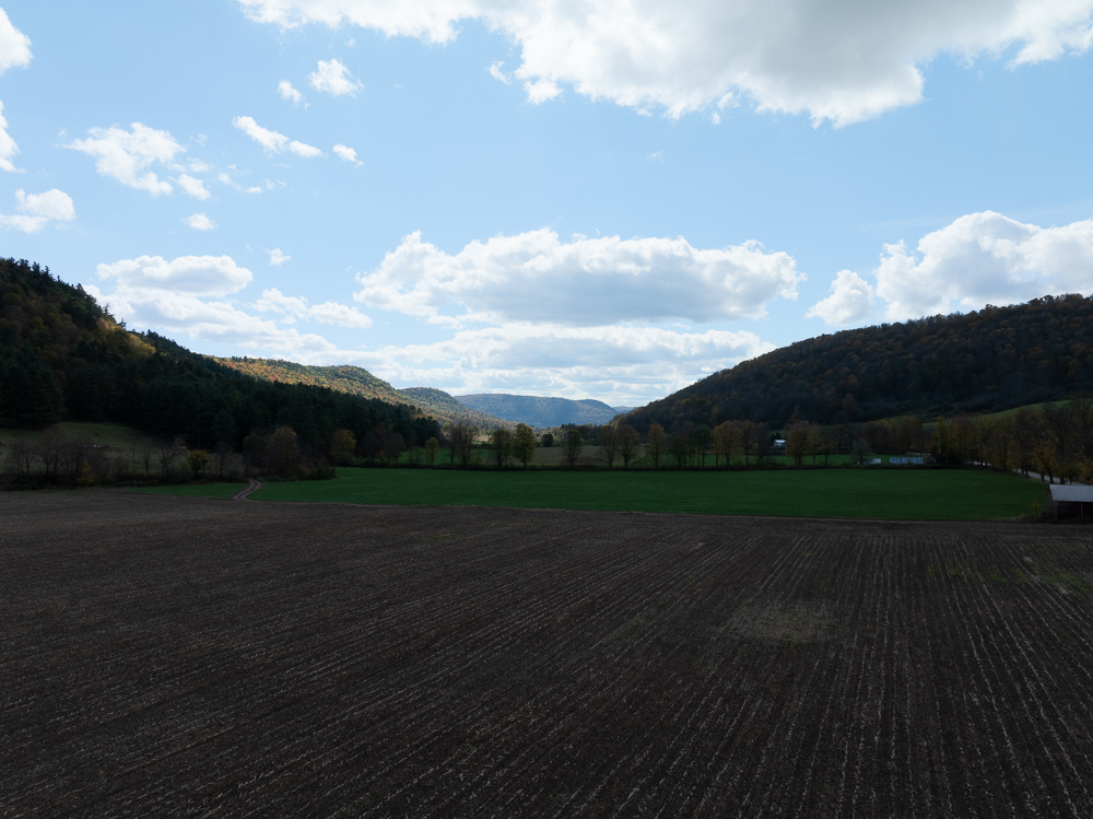 DJI_20241005131259_0272_D