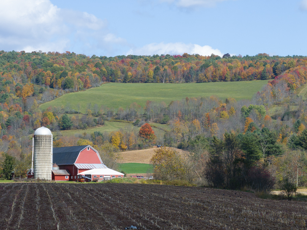 DJI_20241005131421_0274_D